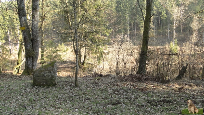 Ritterstein Nr. 210-8a Ruine Storrwoogerhof - Forsthaus.JPG - Ritterstein Nr.210 Ruine Storrwoogerhof - Forsthaus